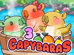 3 Capybaras thumbnail